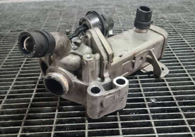 Racitor gaze 2.5d YD25DDTI 190cp Nissan Navara / Pathfinder EURO 5