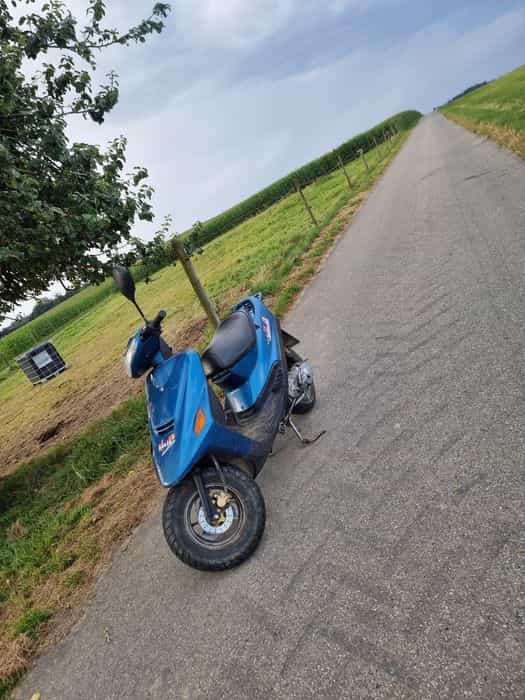 Scuter din Germania fac și schimb