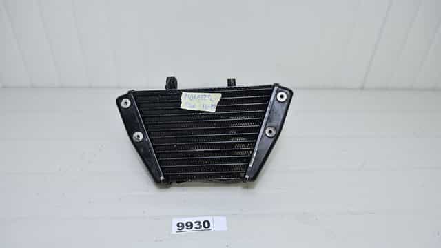 Ducati Monster 1200 16 - 19 Radiator ulei