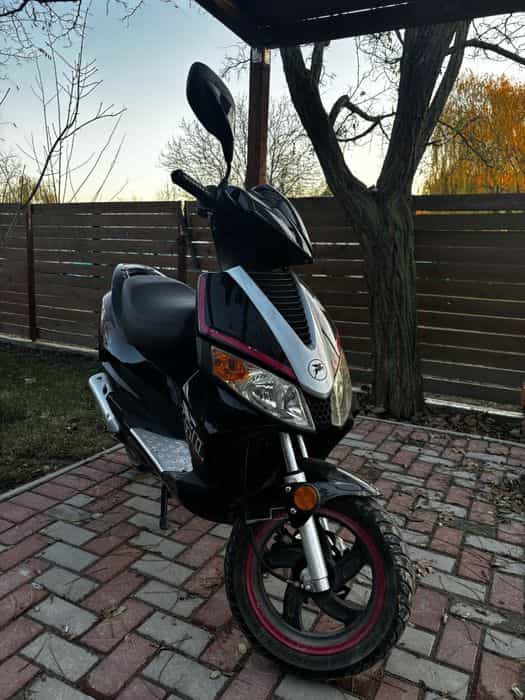 Scuter Pegasus GP50
