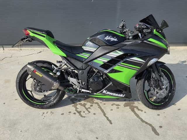 Kawasaki Ninja 300 ABS 2019 A2 - KRT EDITION