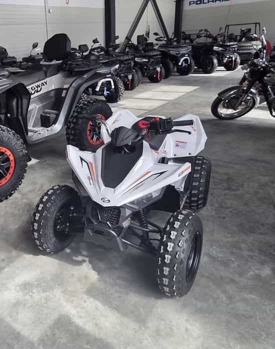 Atv copii linhai 110