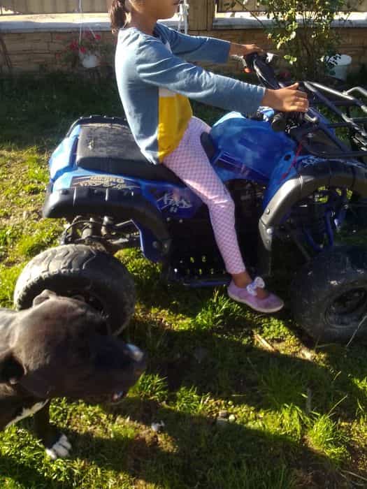 Vând schimb atv kxd pro germani