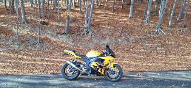 Yamaha R6 ediție Rossi