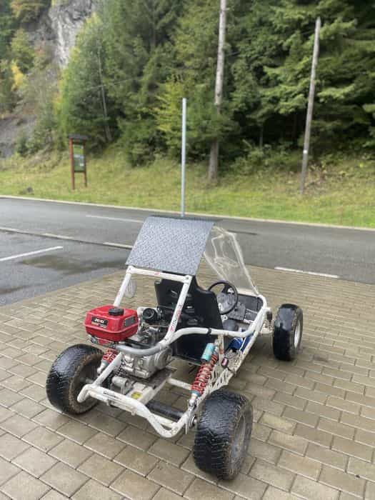 De vânzare buggy sau schimb