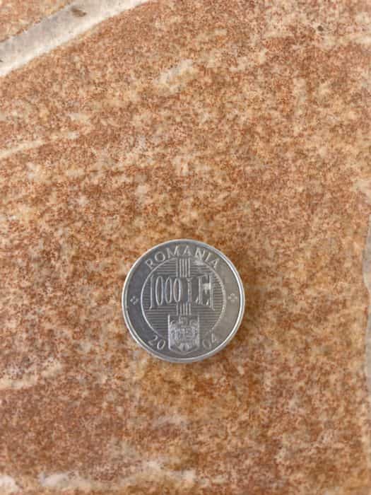 Moneda 1000 lei din 2004