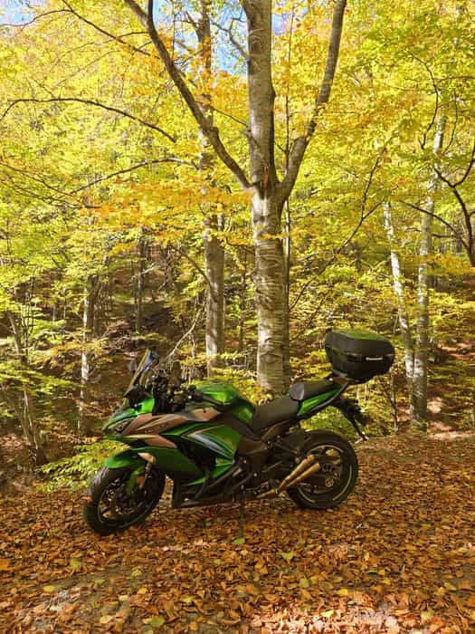 Motocicleta Kawasaki Z1000SX 2020