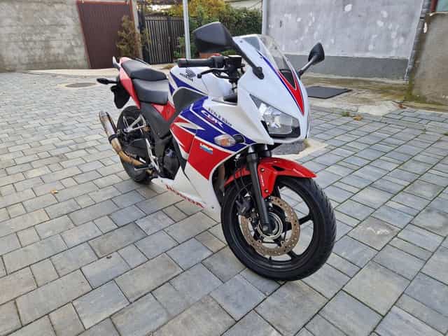 Honda CBR 300 evacuare gp