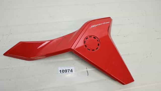 Carena Lateral Dreapta BMW F900R 2019 - 2025