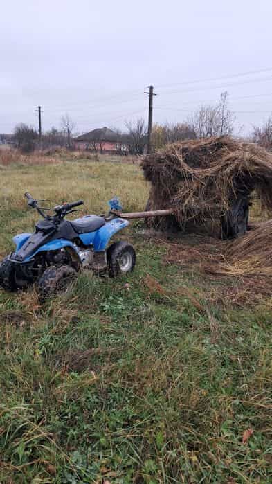 Vand Atv sau schimb cu animale.