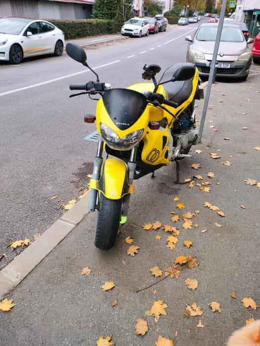 Vind girela dna 50cc