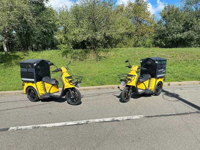 De vanzare Scuter Electric Profesional