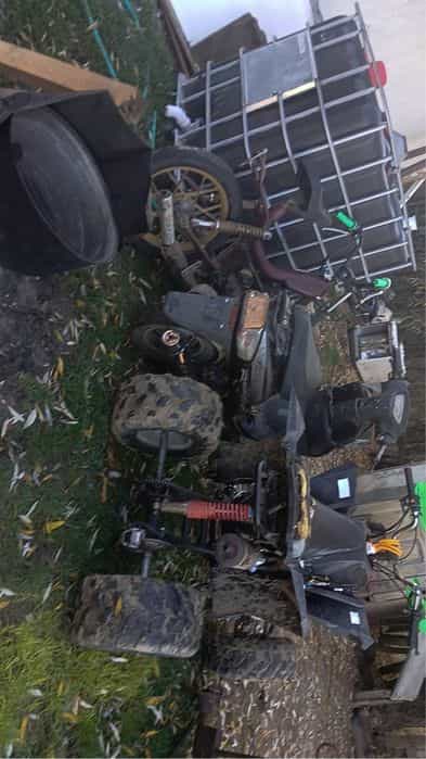 De vânzare toate trei