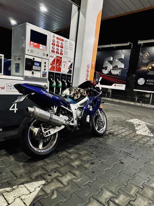 Vand/Schimb Yamaha YZF R6 2002 100 cp carburatie model unicat