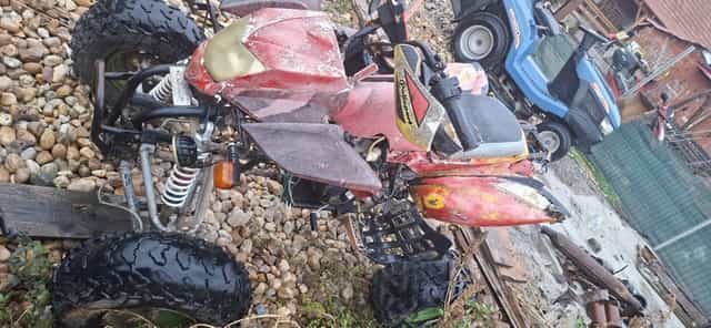 De vanzare bashan 250