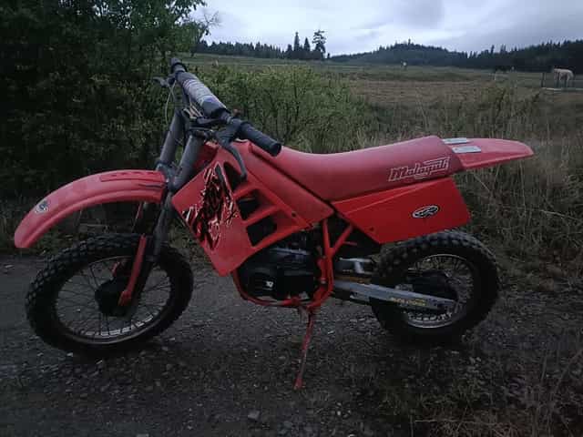 Cross Malaguti Grizzly 50cc dla dziecka