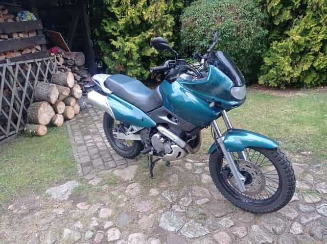 Suzuki XF 650 Freewind