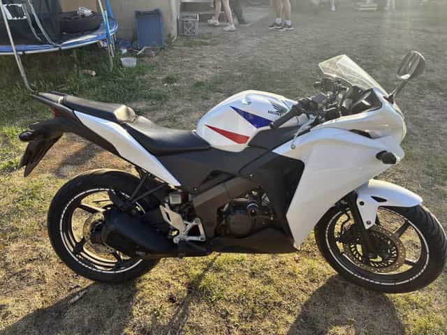 Honda CBR 125  2013