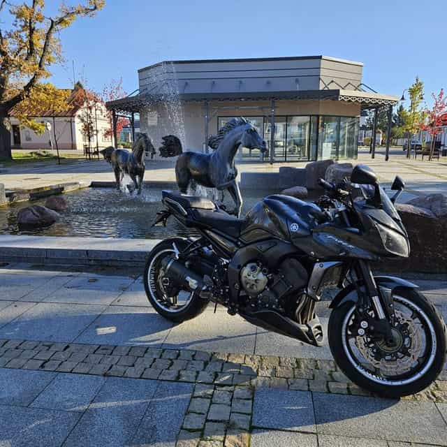 Yamaha Fz1 Fazer ABS 2009 Power Comander, Quickshifter