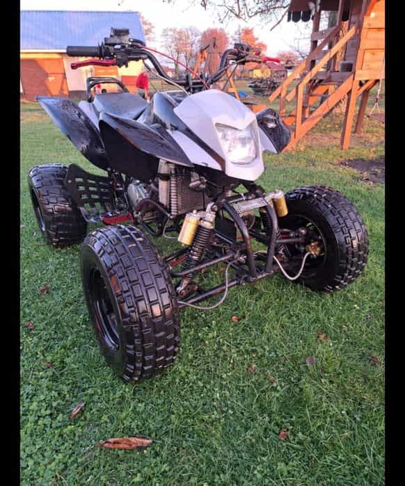 Bashan 250 ciecz Oplacony