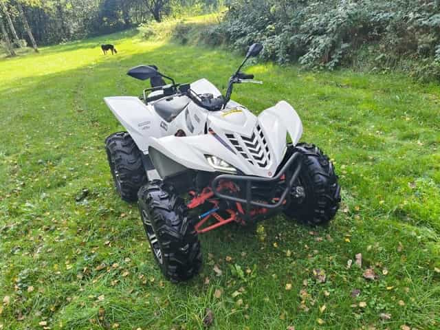 Yamaha Wolverine 450