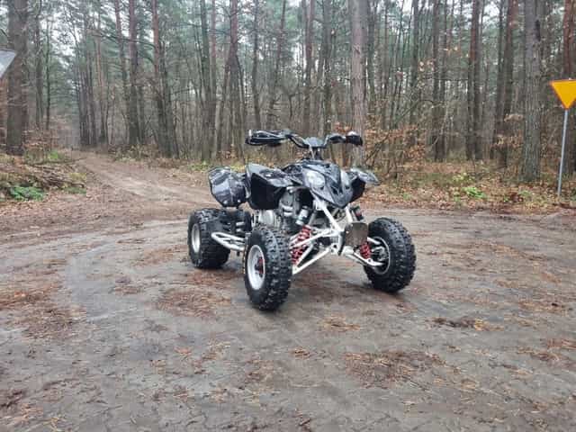 Polaris predator 500