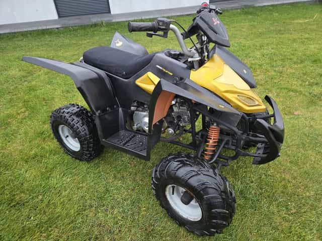Quad 110ccm automat