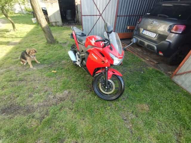 Honda CBR 125 JC 50 2014 20700 przebiegu oryginał !!! Bezwypadkowy!!!