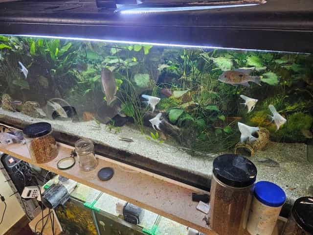 Akwarium 375l z pokrywą i filtrami