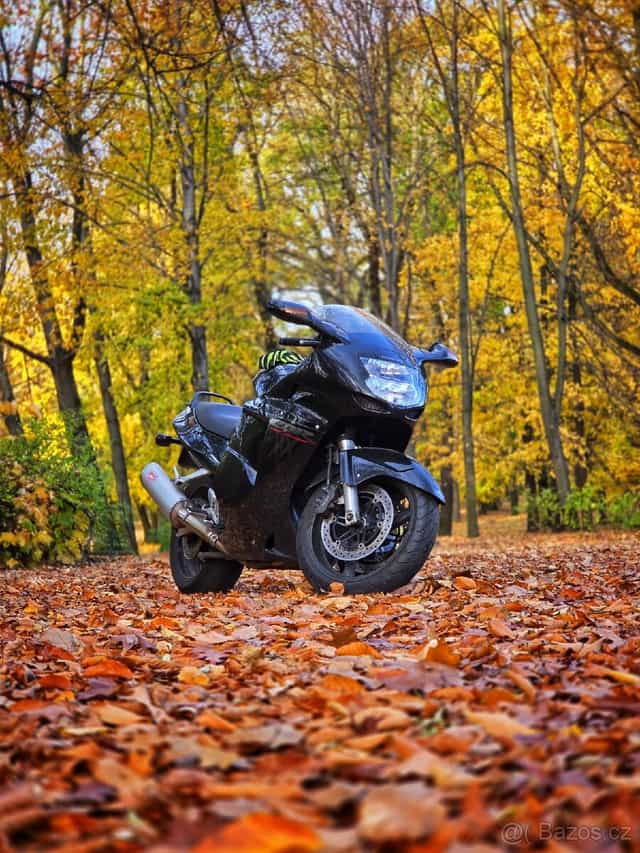 Honda CBR 1100XX Blackbird