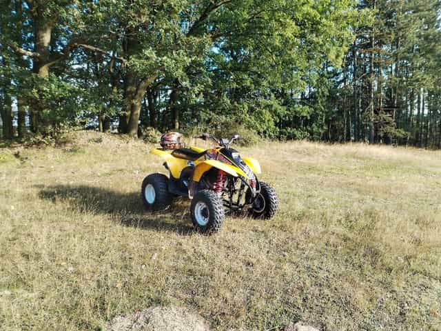 Polaris Trial Blazer 250 2t