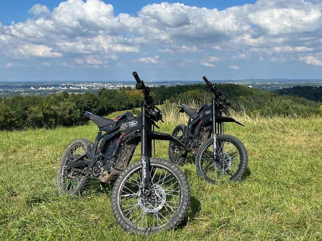 TALARIA STING PRO  Pujč si mě.