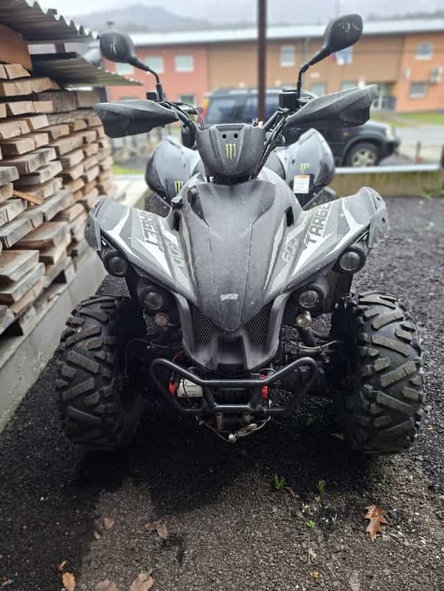 Ṣ̌tvorkolku - Taiwan Golden Bee - 4x4