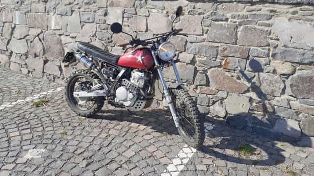 Predam Hondu dominator 650 scrambler