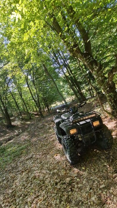 Atv 300cc 2x4 funcțional, înmatriculat