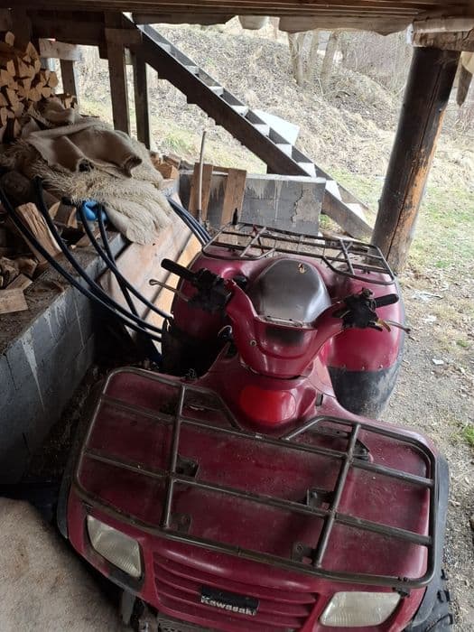 Kawasaki brute force 650