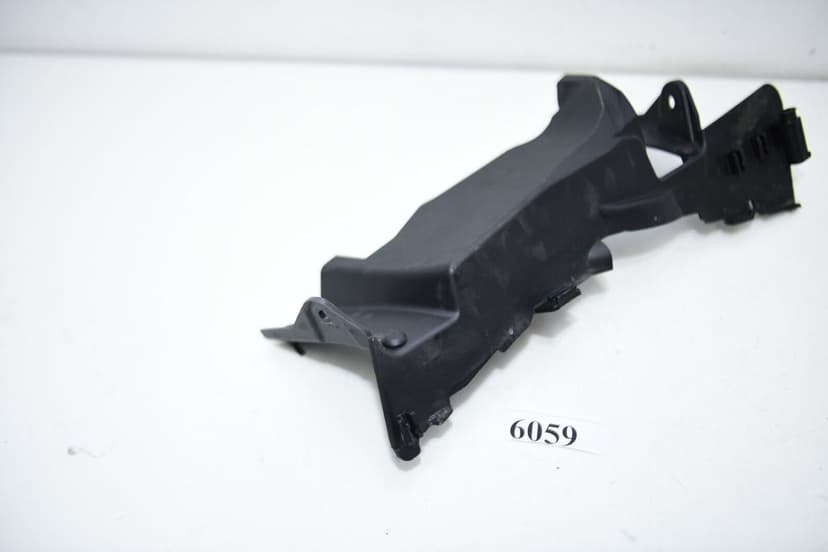 Protecție de evacuare  4663 8403878 BMW F900R 46638403878