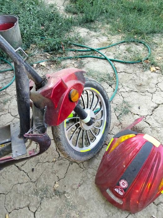 desmenbrez scuter electric sulina rdb