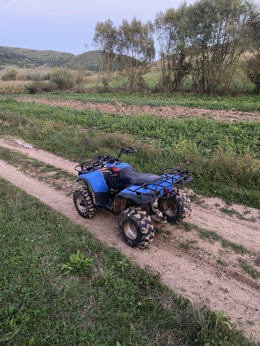 Vand schimb ATV Linhai 300 cu gip