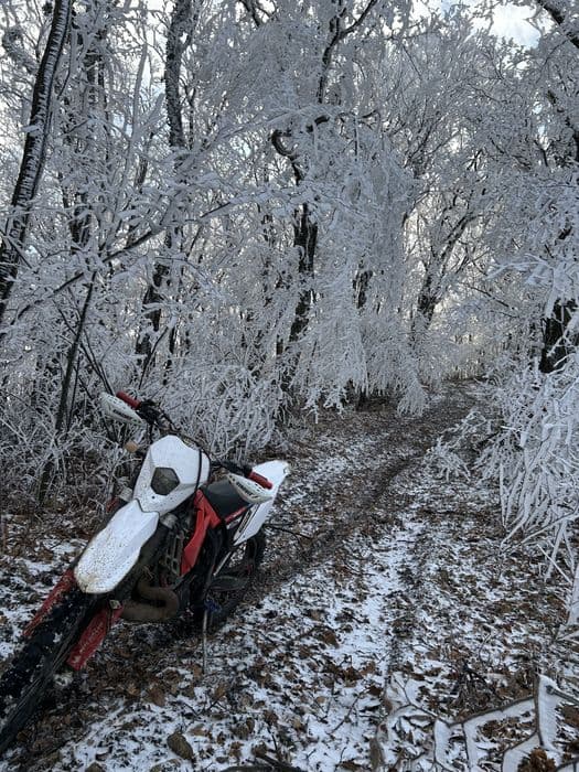 Gas gas  ec300 2010 inmatriculat