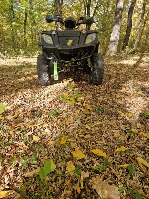 Vand/ Schimb Linhai anniversary 300 cc