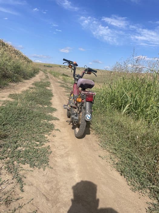 Moped pedalier piaggio grillo