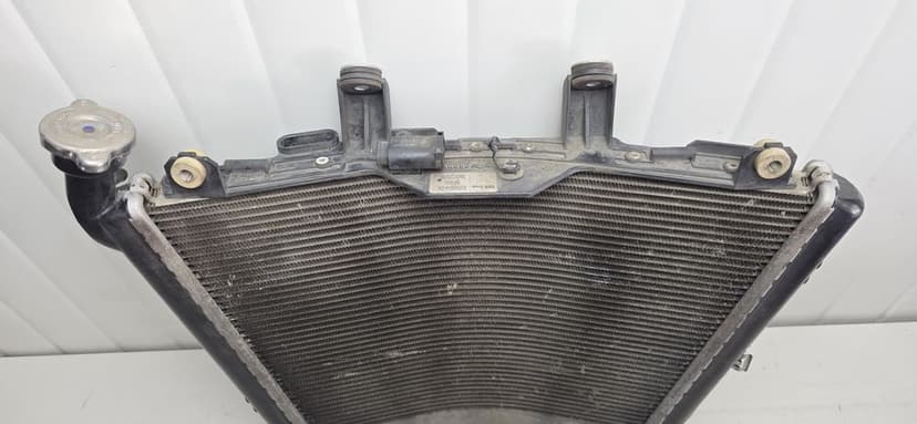 Radiator apa BMW S1000RR 2019 2024 K67 original
