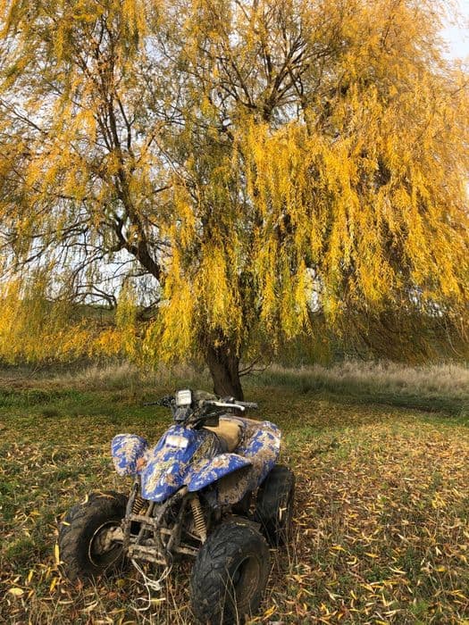 Atv polaris scrambler