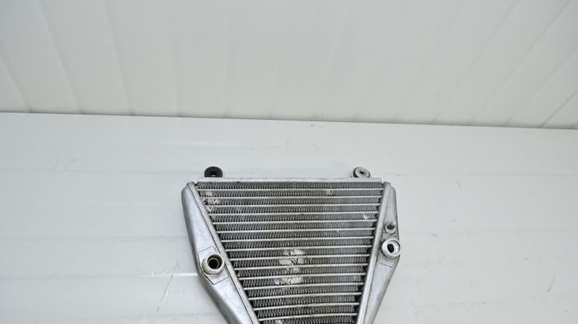 Ducati Panigale V2 / V4 2018 - 2024 Radiator ulei