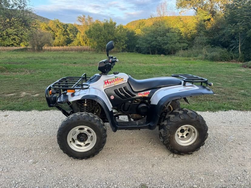 Atv Linhai 300 cu acte