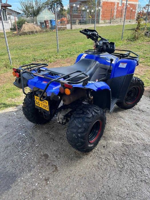 Linhai dragonfly 300 4x4