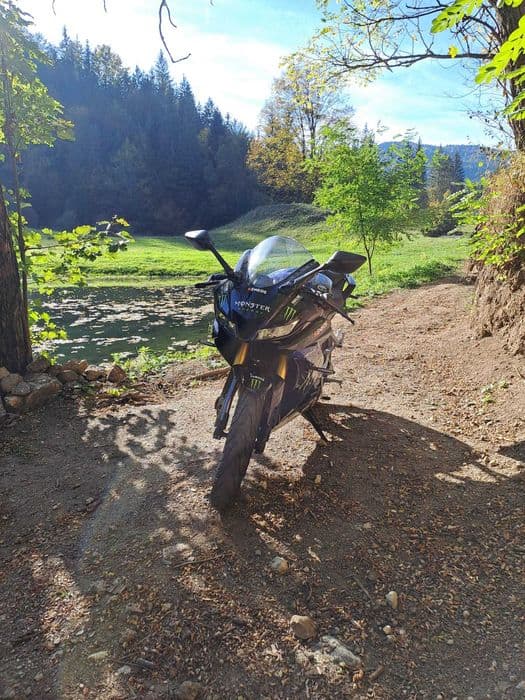 Yamaha YZF 125 Monster Edition