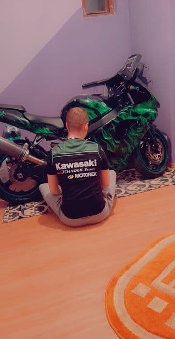 Kawasaki ninja zx9r 900 1999 aerografiat UNICAT