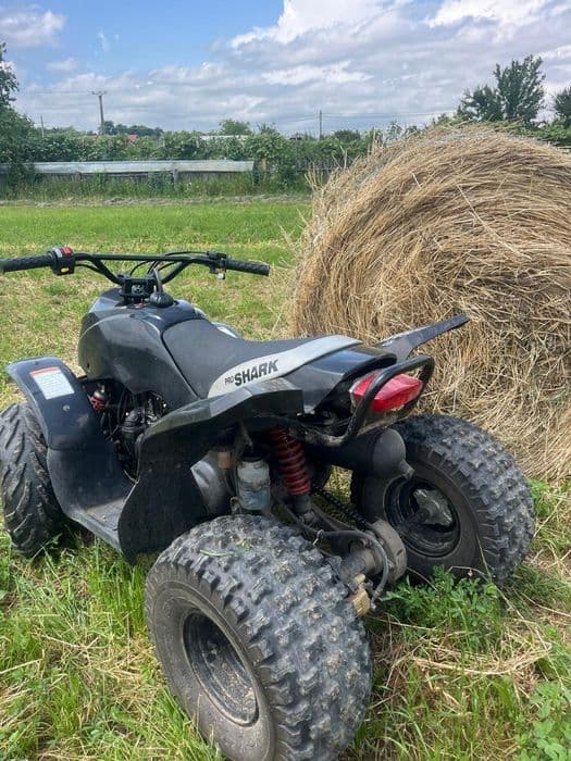 Vand atv 110cc 2 timpi